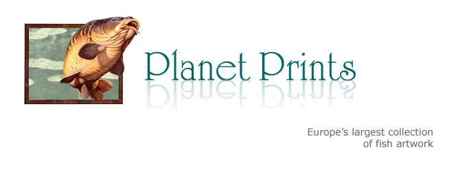 "Planet Prints – The home of fish art."